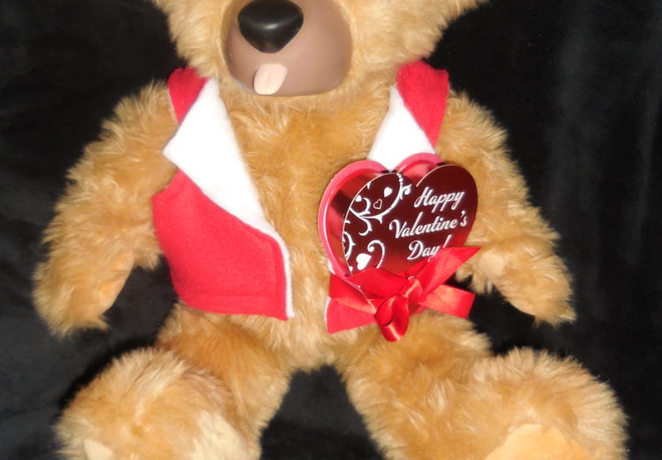 TEDDY LOVE BEAR IS A PERFECT GIFT!!